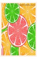 Smoothie Collection Journal: Recipe Collection Writing Notebook for Fruit Smoothies & Juices