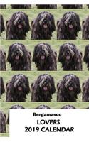 Bergamasco Lovers 2019 Calendar