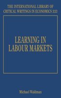 Learning in Labour Markets