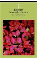 Screens Jets Heaven
