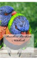 Rainbow Lorikeets Notebook