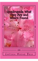 Quadrupeds What They Are and Where Found