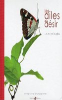 The Wings of Desire / Les Ailes du Desir