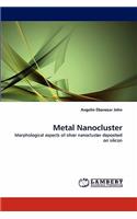 Metal Nanocluster
