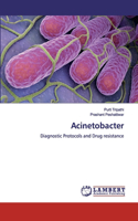 Acinetobacter