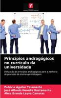 Princípios andragógicos no currículo da universidade