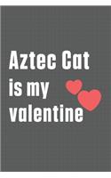 Aztec Cat is my valentine: For Aztec Cat Fans