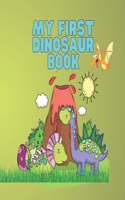 My First Dinosaur Book