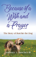 Because of a Wish and a Prayer