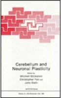 Cerebellum and Neuronal Plasticity