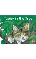 Tabby in the Tree: Leveled Reader Blue Fiction Level 10 Grade 1