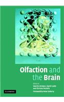 Olfaction and the Brain