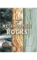A Look at Metamorphic Rocks