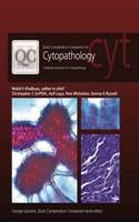 Quick Compendium Companion for Cytopathology