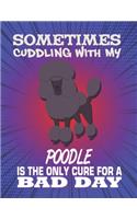 Sometimes Cuddling With My Poodle Is The Only Cure For A Bad Day