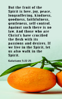 Fruit of the Spirit Bookmark (pack of 25)