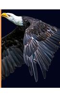 Bald Eagles Notebook: A College Ruled Blank Notebook for Men