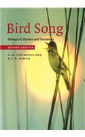 Bird Song