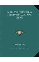 A Tenykerdesrol A Felulvizsgalatnal (1897)