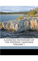 A concise dictionary of the Assyrian language Volume 1