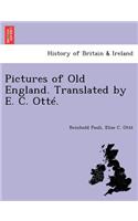 Pictures of Old England. Translated by E. C. Otte.