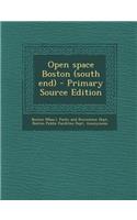 Open Space Boston (South End) - Primary Source Edition