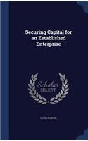 Securing Capital for an Established Enterprise