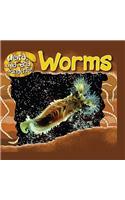 Worms