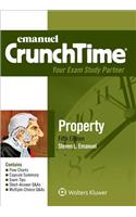 Emanuel Crunchtime for Property