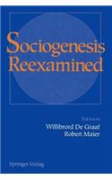 Sociogenesis Reexamined