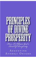 Principles of divine PROPSERITY: how to obtain God's kind of properity