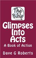 Glimpses Into Acts: A Book of Action