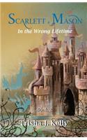In the wrong lifetime