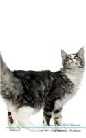 Maine Coon Cat Affirmations Workbook Maine Coon Cat Presents: Positive and Loving Affirmations Workbook. Includes: Mentoring Questions, Guidance, Supporting You.