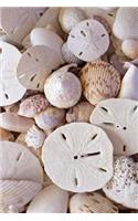 Sand Dollars and Seashells Coastal Charm Design Journal
