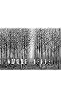Among Trees