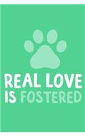 Real Love Is Fostered