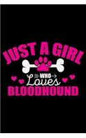 Just A Girl Who Loves Bloodhound