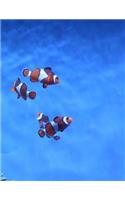 Clown Fish Fishes Clowns Aquarium Fish Tank Tanks Underwater Ocean Sea Marine: Notebook Large Size 8.5 x 11 Ruled 150 Pages Softcover