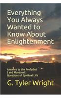 Everything You Always Wanted to Know About Enlightenment