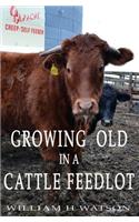 Growing Old in a Cattle Feed lot