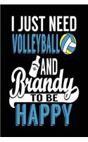 I Just Need Volleyball And Brandy To Be Happy