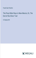 Pony Rider Boys in New Mexico; Or, The End of the Silver Trail