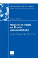 Managementkonzepte Aus Sicht Der Organisationskultur