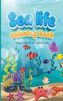Sea Life Coloring Book