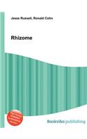 Rhizome: (English)