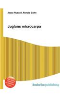 Juglans Microcarpa: (English)