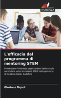 L'efficacia del programma di mentoring STEM