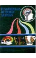 Fundamentals of Human Anatomy: v. 2