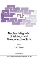 Nuclear Magnetic Shieldings and Molecular Structure